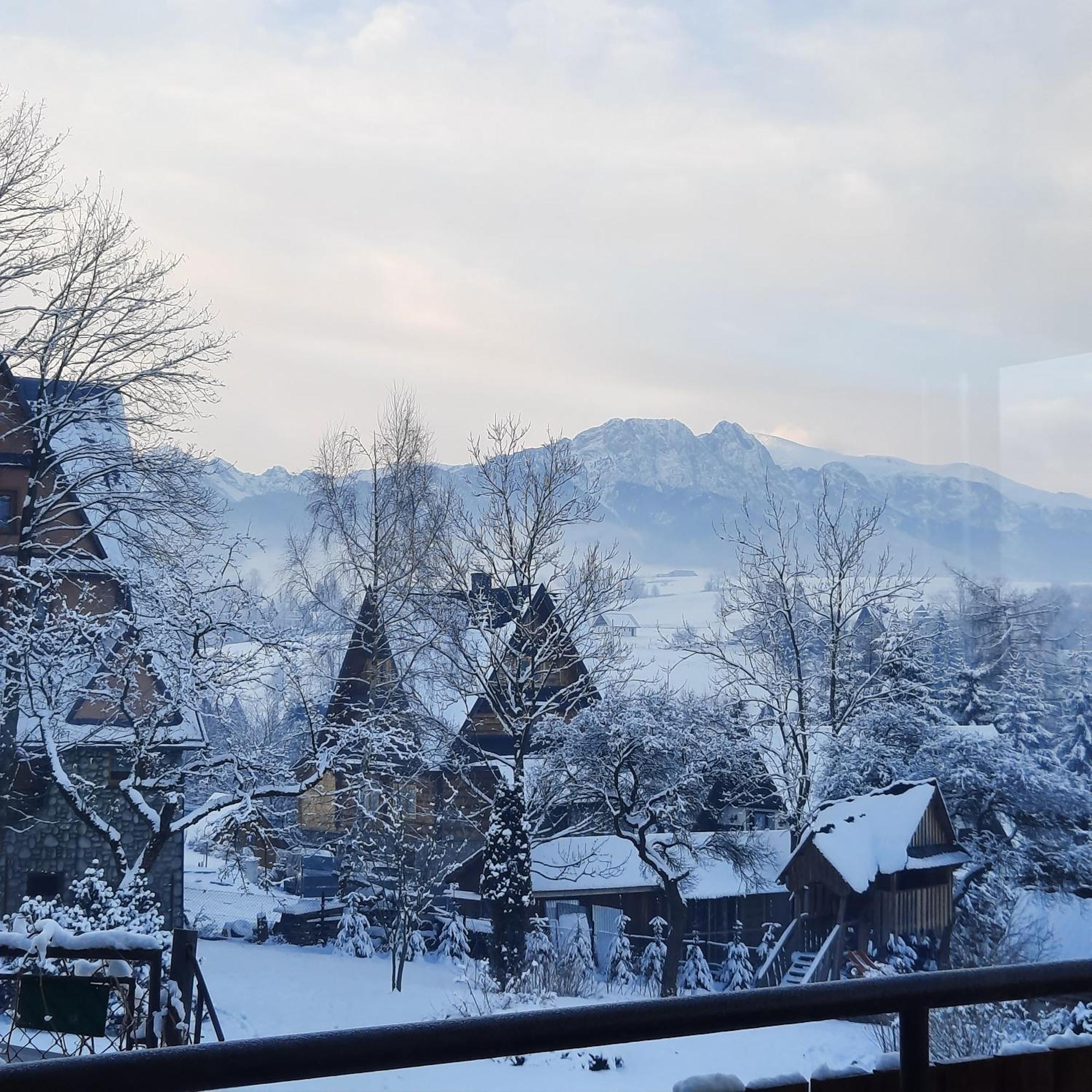 Willa U Bzyka, Zakopane